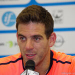 Juan Martin del Potro