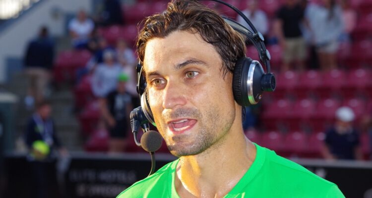 David Ferrer