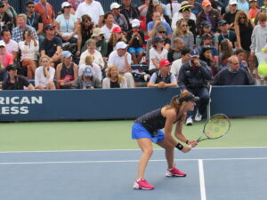 Hingis