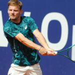 David Goffin