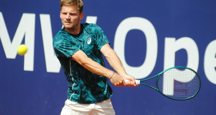 David Goffin