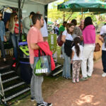 Copa Internacional de Tenis de Campinas