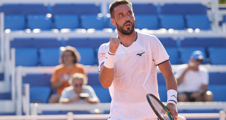 Damir Dzumhur