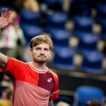 David Goffin