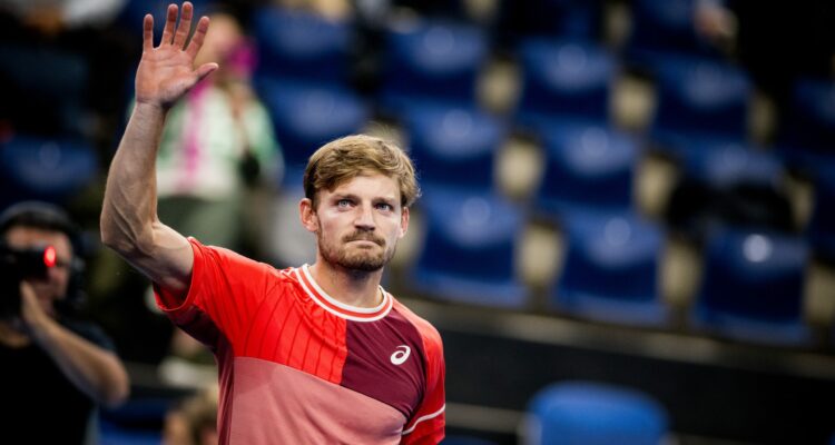 David Goffin
