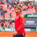 David Ferrer, Spain, Davis Cup