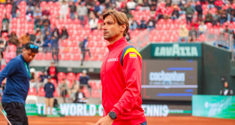 David Ferrer, Spain, Davis Cup